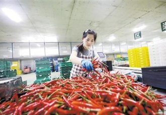 栏目用于追新